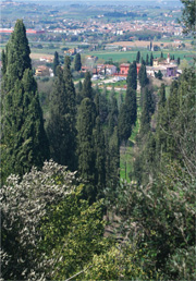 The view of Borgo San Giusto