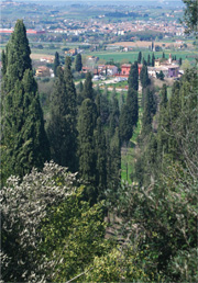 Borgo San Giusto glimpse