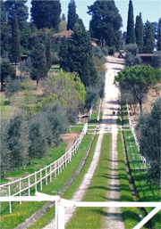 Drive to Fattoria Bini