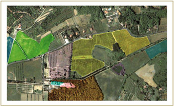 Fattoria Bini map