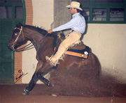 Futurity Reining